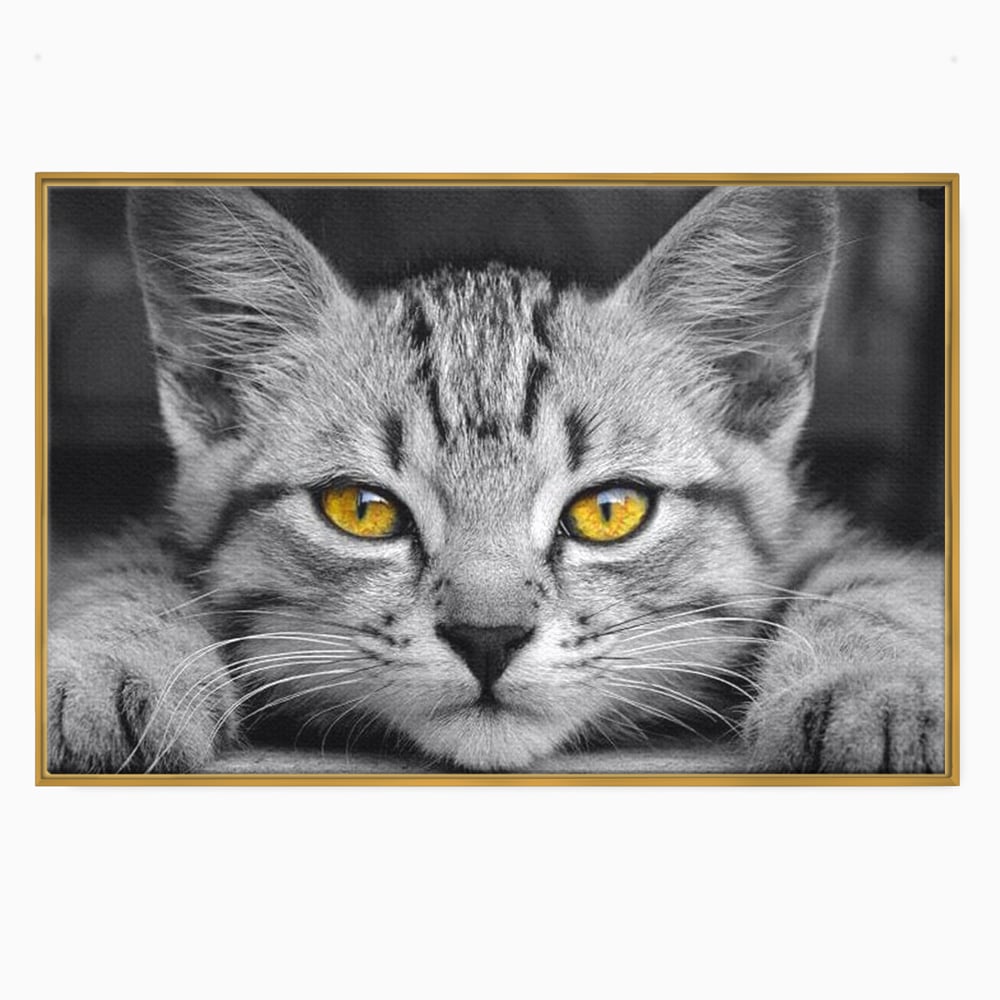 Tablou canvas cu tablou canvas cu o pisica alb-negru si ochi galbeni, in rama de aluminiu auriu